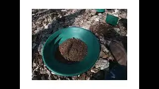 prospecting dry creek bed in Missouri #gold #missouri #goldprospecting #goldpanning #metaldetecting