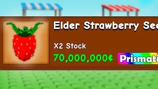 NOOB To ELDER STRAWBERRY SEED in Grow a Garden!