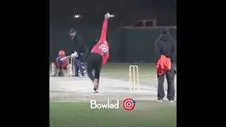 Bowled Him🎯🏏 #spinattack #cricket #cricketlover #trendingshorts #youtubeshorts #ytshorts #shortvideo