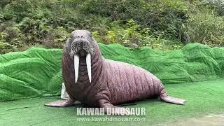 4 Meters Animatronic Walrus With Movements Animatronic Ocean Animals Kawah Factory Sale