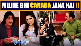 Masood Mujhe Bhi Canada Le Chalen 😂😲 Momo | Bulbulay