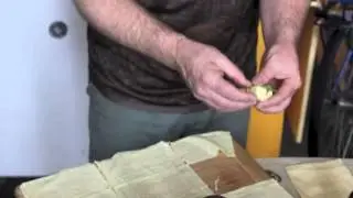 Cooking with Vegan Chef Philip Gelb