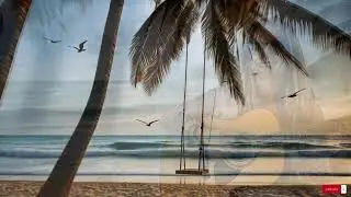 Reggae Music Mix 2025  😍  Best Reggae Love Beach Songs ,Top Reggae Special Relax 210