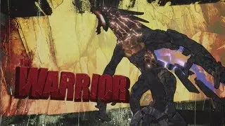 How To Beat The Warrior EASY in Solo! Borderlands 2 Tips & Tricks