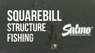 Squarebill Structure Fishing - Salmo