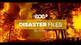 DISASTER FILES