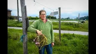 Steunpunt Korte Keten - getuigenis Dorothea &ndash; PlukPlek