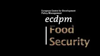 About ECDPM: the Food Security Programme