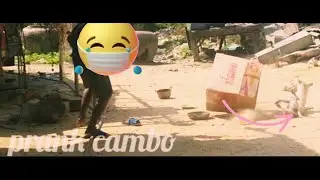 Biggest Box vs Prank Sleep Dogs Very Funny