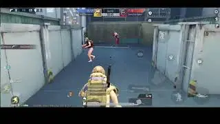Razz OP Live Stream