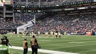 Seahawks Dancers Pregame Performance