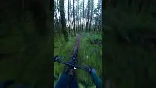 Epic Single Track | Half Day/Full Day, Sechelt BC | #mtb #mountainbike #gopro #pnw