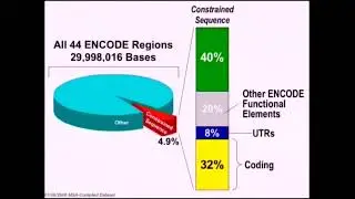 Dr. Elliott Margulies | Statistical challenges in using comparative genomics for the... of......