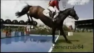 Horses-Chillin