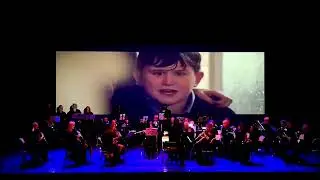Highlights from Harry Potter - John Williams / Arr. Michael Story