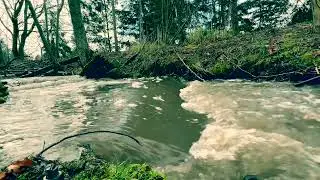 Relaxing nature ambience, Natural stream of flowing water, Soothing water sounds for sleeping