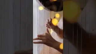 Quiet beauty when snow falls  #harp