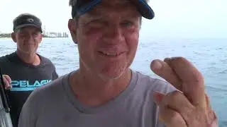 Hooked on The Palm Beaches: Reel Lucky Fishing Charters (Part 3)