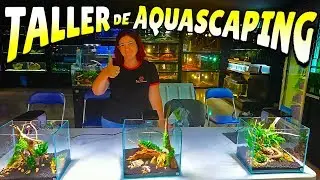 Taller de Aquascaping en Maskokotas con Balbi Vaquero