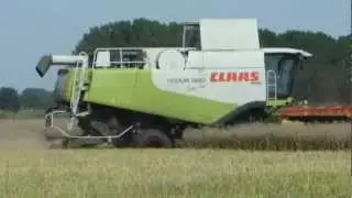Claas Lexion 580 Terra Trac mit 900 Vario Schneidwerk beim Rapsdrusch in Brandenburg