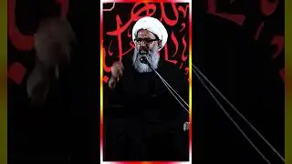 Allama Anwar Ali Najafi 4