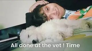#PawsomeStories    First Vet Visit 