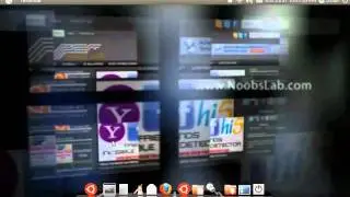 Install Google Chrome on Ubuntu 11.04/Ubuntu 11.10/Linux Mint/Open Suse/Fedora