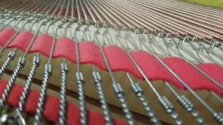 Seiler Grand Piano - Eduard Seiler ED-168