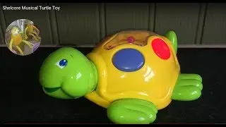 Shelcore Musical Flashing Children&rsquo;s Turtle Toy