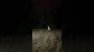 Very haunted girl in the forest this night very scary girl #mrscary #superscary #spook#hauntedevent