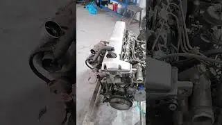 OM 603. НА ПЛУНЖЕРАХ 7.5.            с пробегом 70 000. вот что значит хорошая компрессия.