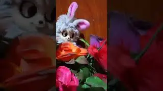 Horror Rabat on House Flower #horror #Horrormovie