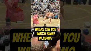 Where can you watch sumo wrestling in Japan?