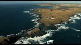 Penguin Island Trailer