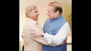 Shehbaz Sharif's and Nawaz Sharif dono harami #shehbazsharif #youtubeshorts
