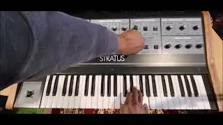 CRUMAR STRATUS- THE PM'S OBERHEIM OB-X8