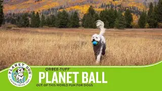 Orbee-Tuff Planet Ball - Out of This World Fun For Dogs