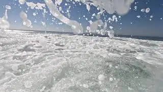 SUMMER Beach VIBES and Fish - Relaxation Waves Ocean Powerup #oceantherapy #nature #wellness
