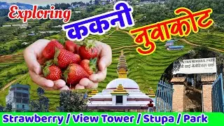 Exploring Kakani Nuwakot | ककनी नुवाकोट । Thai Memorial Park - View tower - Strawberry farm - Stupa