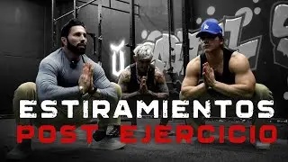 Estiramientos después de hacer ejercicio | Jalando Fierro