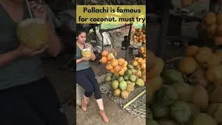 Things to do in pollachi #shorts #travel #tamilnadu