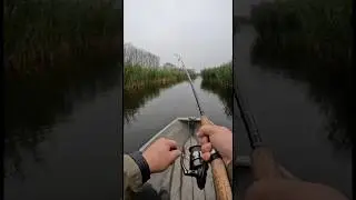 Монстр клюнул #топ #fishing #рыбалка #рыбалка #спиннинг #топчик  #рекомендации