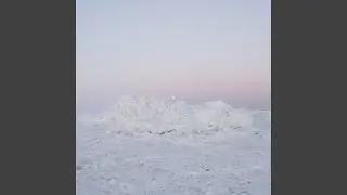 Dead Birds