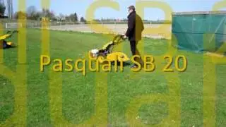 Pasquali tuinfrees motoculteur motorculteur eenasser frees BCS
