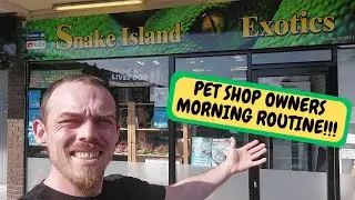 Morning Routine As A Pet Shop Owner (Snake Island Exotics)