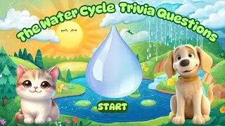 Water Cycle Quiz and Trivia Questions
