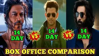 Fighter vs Pathan vs Animal Collection Comparison |Fighter vs Animal vs Pathan Box Office Comparison