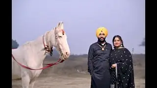 (Live) Jasmail Singh Dhaliwal Weds Amandeep Kaur || Monu studio Bargadi || M.94171-87414