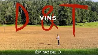 D&T - Episode 3 (S3) : Le Zinfandel du Sommelier (un fumet doux-amer)