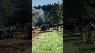Fordson Major tractor pulling. #vintagetractor #fordson #tractorpulling #fordsonmajor #wheelie #ford
